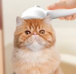 Self-Cleaning Pet Hair Brush with Mist! - Image 7