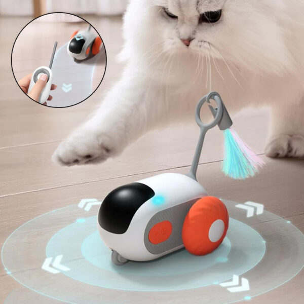 Remote Control Cat Toy Car: Fun & Active Play!