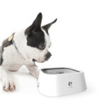 1.5L Spill-Proof Pet Bowl: Happy Hydration! - Image 3