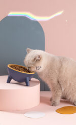 Elevated Pet Bowl: No More Messy Meals! 🐶 - Image 7