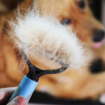 Pet Grooming Brush: Effortless De-shedding! - Image 9