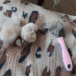 Pet Grooming Brush: Effortless De-shedding! - Image 10