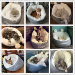 Doggie Dreamland: Plush Pet Bed! - Image 4