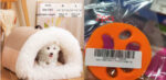 Cozy Pet Cave: Winter Warmth for Your Furry Friend! - Image 9