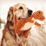 Giant Dino Plush Dog Toy: Fun & Durable!