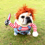 👻Halloween Dog Costume: Spooky Fun! - Image 6