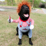 👻Halloween Dog Costume: Spooky Fun! - Image 4