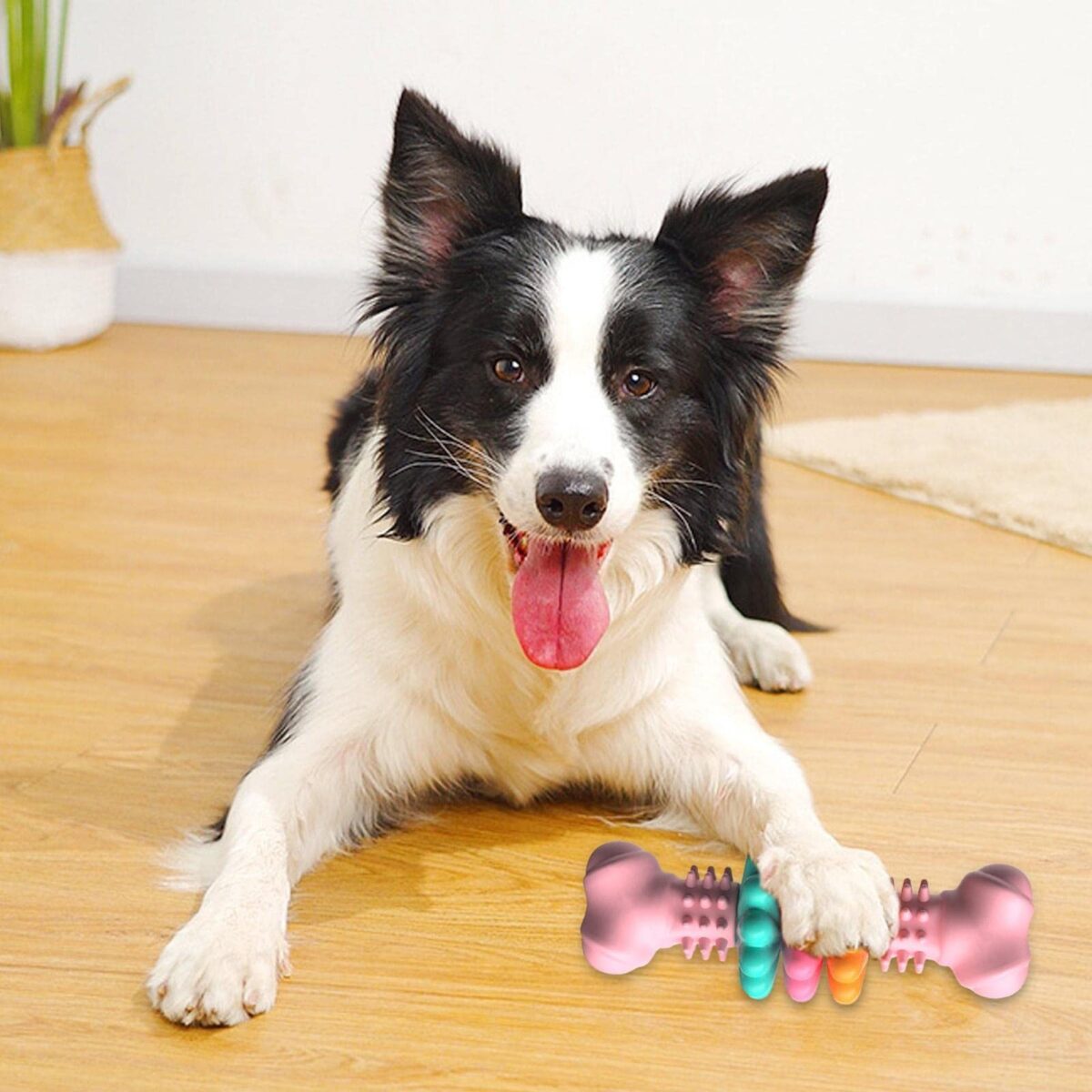 Indestructible Dog Chew Toy Bone! - Image 6