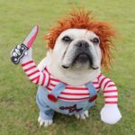 👻Halloween Dog Costume: Spooky Fun! - Image 2
