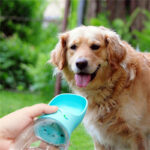 Pawsome H2O: Portable Pet Water Bottle!