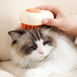 Self-Cleaning Steam Pet Brush 🐾 - Image 2