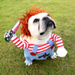 👻Halloween Dog Costume: Spooky Fun! - Image 5