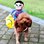 👻Halloween Dog Costume: Spooky Fun! - Image 8