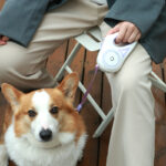Retractable Dog Leash with Collar: Walk with Freedom! - Image 3