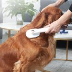 Pet Grooming Brush: Effortless Shed Removal! - Image 3