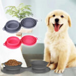 Collapsible Double Dog Bowl - Travel & Home! - Image 5