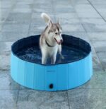 Foldable Dog Pool: Summer Fun! - Image 7