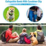 Collapsible Double Dog Bowl - Travel & Home! - Image 6