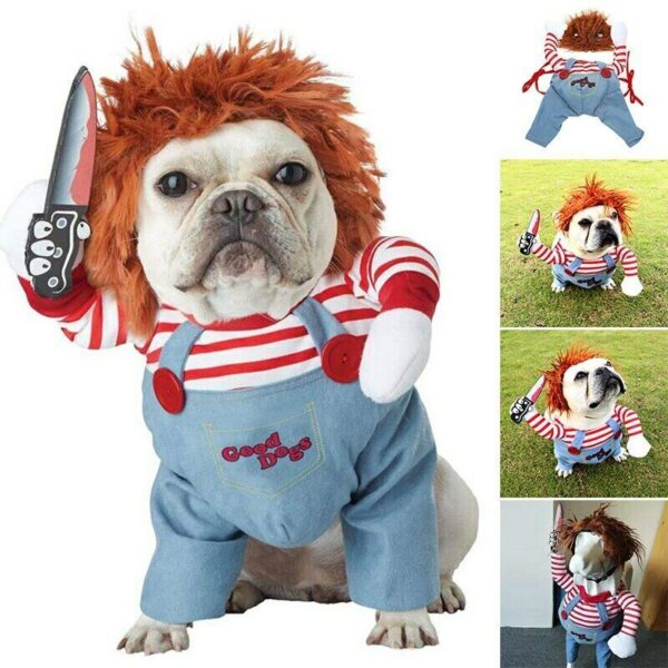 👻Halloween Dog Costume: Spooky Fun!