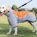 Warm Winter Dog Coat: Waterproof & Cozy!