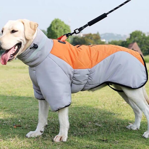 Warm Winter Dog Coat: Waterproof & Cozy!