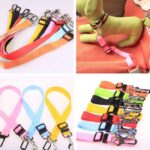 Pet Car Seat Belt: Safe & Secure Travel!