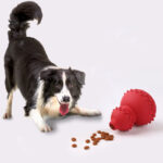 Treat Dispensing Dog Toy: Fun & Interactive!