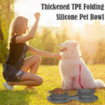 Collapsible Double Dog Bowl - Travel & Home! - Image 4