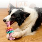 Indestructible Dog Chew Toy Bone! - Image 7